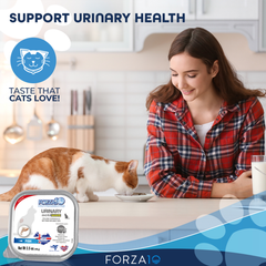 Forza10 Actiwet Urinary Support Icelandic Fish Recipe Canned Cat Food-2