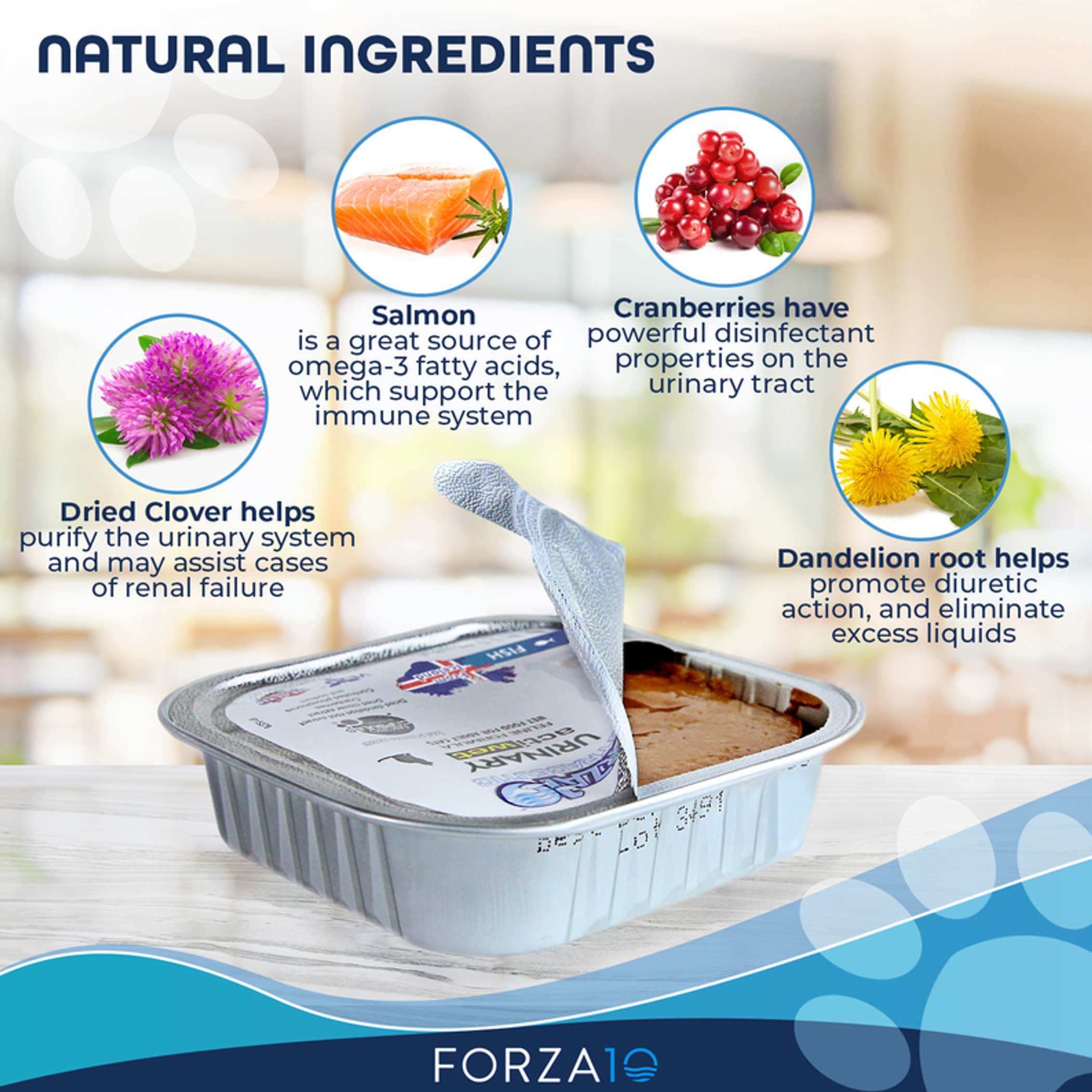 Forza10 Actiwet Urinary Support Icelandic Fish Recipe Canned Cat Food-3