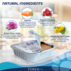 Forza10 Actiwet Urinary Support Icelandic Fish Recipe Canned Cat Food-3