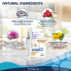 Forza10 Active Urinary Dry Cat Food 1-lb bag-3