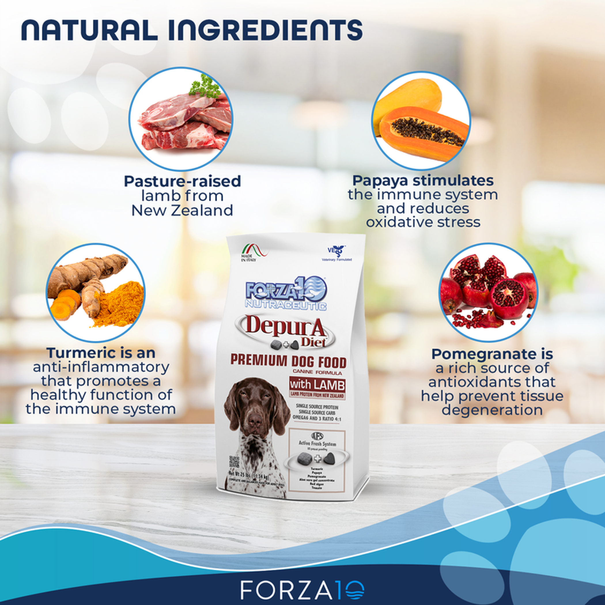 Forza10 Active Depura Diet Lamb Dry Dog Food-3