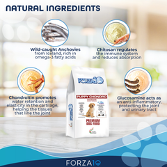 Forza10 Active Puppy Chondro Diet Dry Dog Food-3