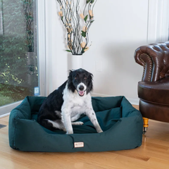 Armarkat Bolstered Dog Bed, Anti-Slip Pet Bed, Laurel Green L-3