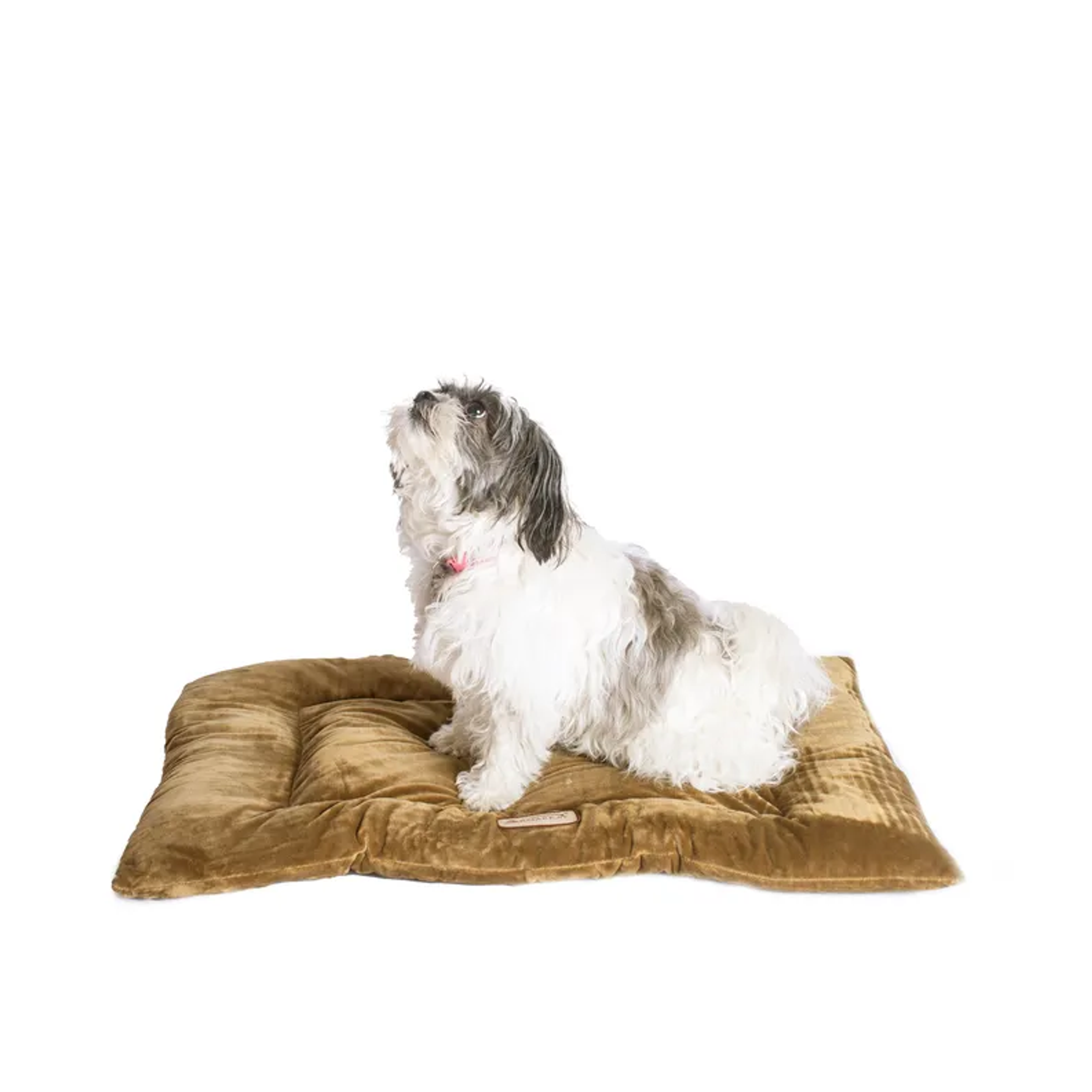 Armarkat Pet Bed Mat, Dog Crate Soft Pad W Poly Fill Cushion M Sage Green-2