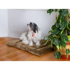 Armarkat Pet Bed Mat, Dog Crate Soft Pad W Poly Fill Cushion M Sage Green-3