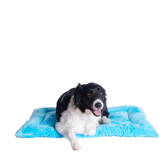Armarkat Pet Bed Mat, Dog Crate Soft Pad W Poly Fill Cushion M Sky Blue-2