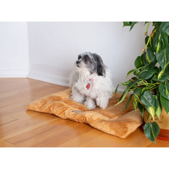 Armarkat Pet Bed Mat, Dog Crate Soft Pad W Poly Fill Cushion L Earth Brown-4