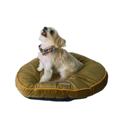 Armarkat Pet Bed Pad, Poly Fill Dog Cushion Bed M04 Sage Green