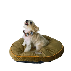 Armarkat Pet Bed Pad, Poly Fill Dog Cushion Bed M04 Mocha-2