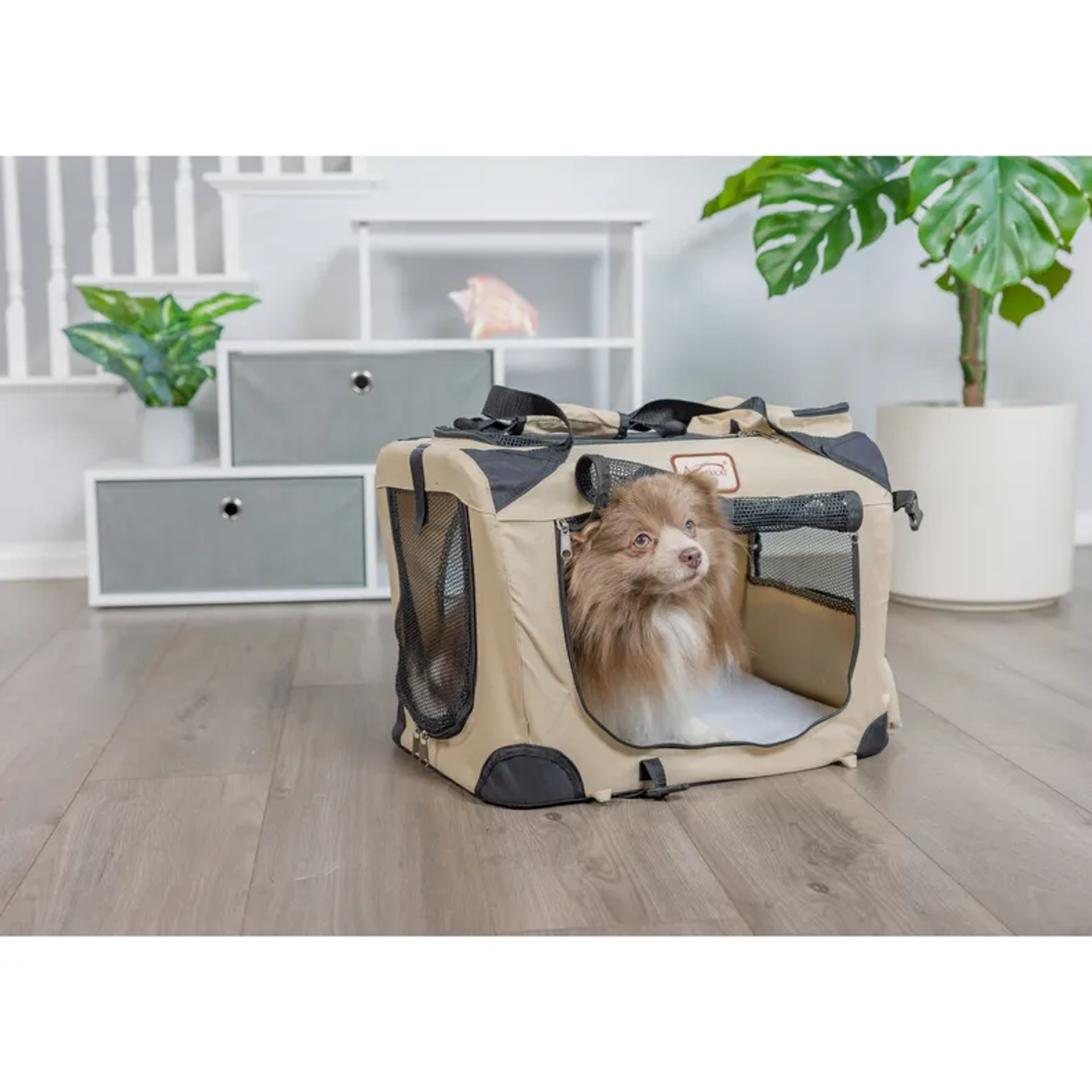 Armarkat FoldIng Soft Dog Crate Pet Travel Carrier PC201B-6