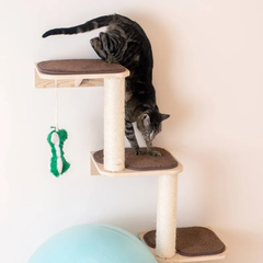 Armarkat Wall Series: Cat Steps W1907C-4