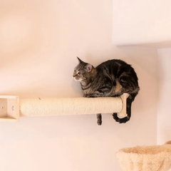 Armarkat Wall Series: Scratching Post W1907D-3