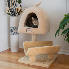 Armarkat X3007 Cat Condo, Real Wood Cat Scratching Post-2