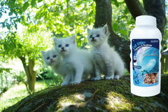ALZOO Plant-Based Cat Litter Deodorizer Fresh Ocean Breeze-2