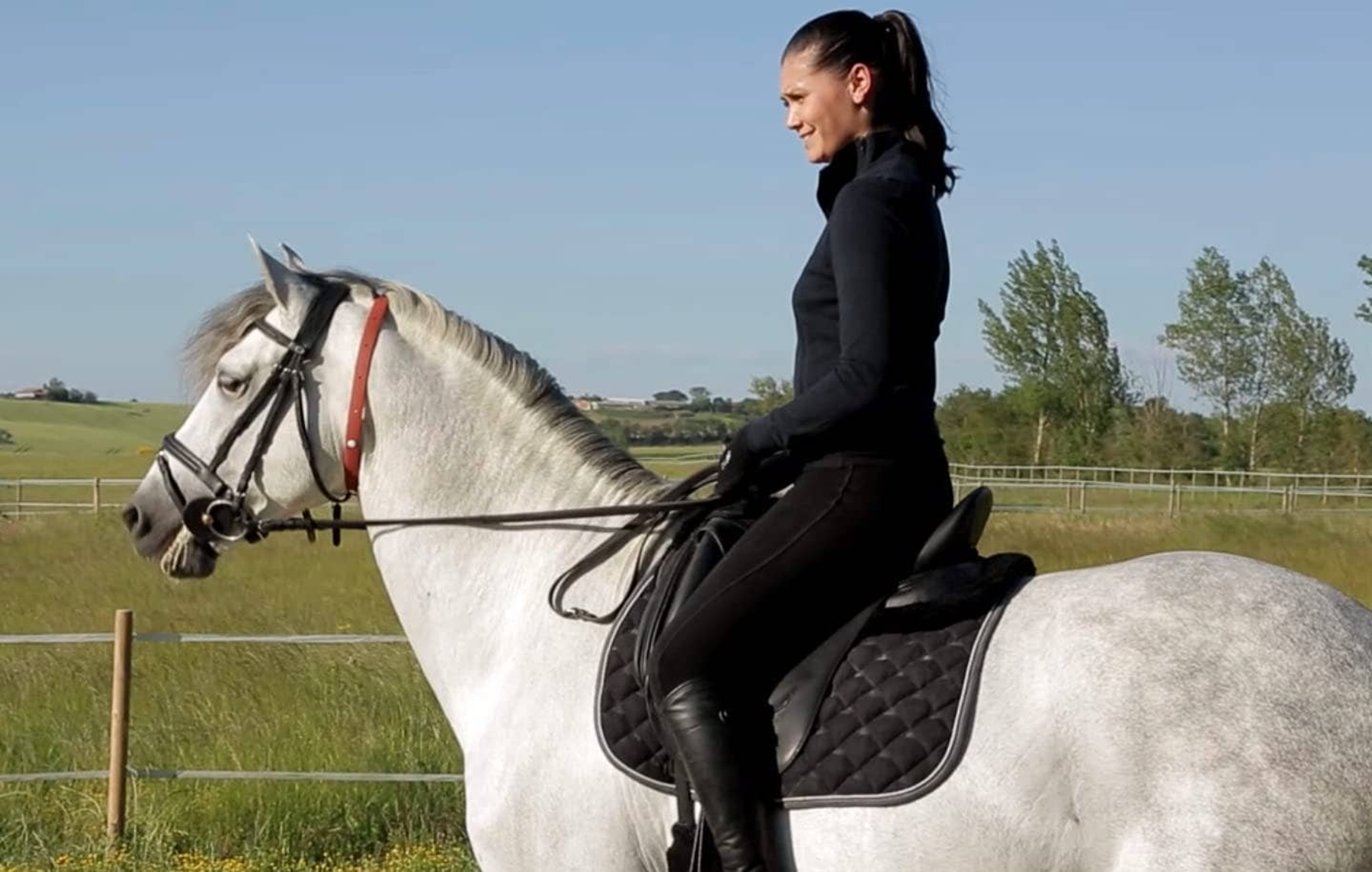 ALZOO Herbal Horse Collar-3