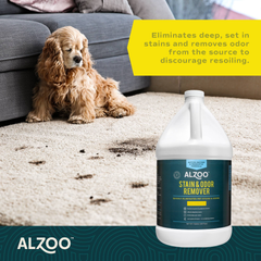 ALZOO Enzyme Stain & Odor Remover Citrus Vanilla, 16oz-4