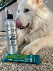 Alzoo Reusabel Aluminum Bottle, 16oz-3