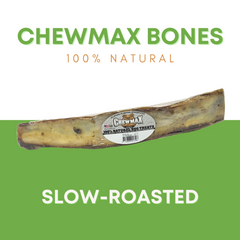 Beef Rib Dog Bone Individual-2