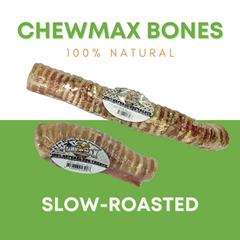 Beef Trachea Bone Case- 24-2