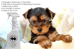 BarkLogic Leave In Conditioning & Detangling Spray-3