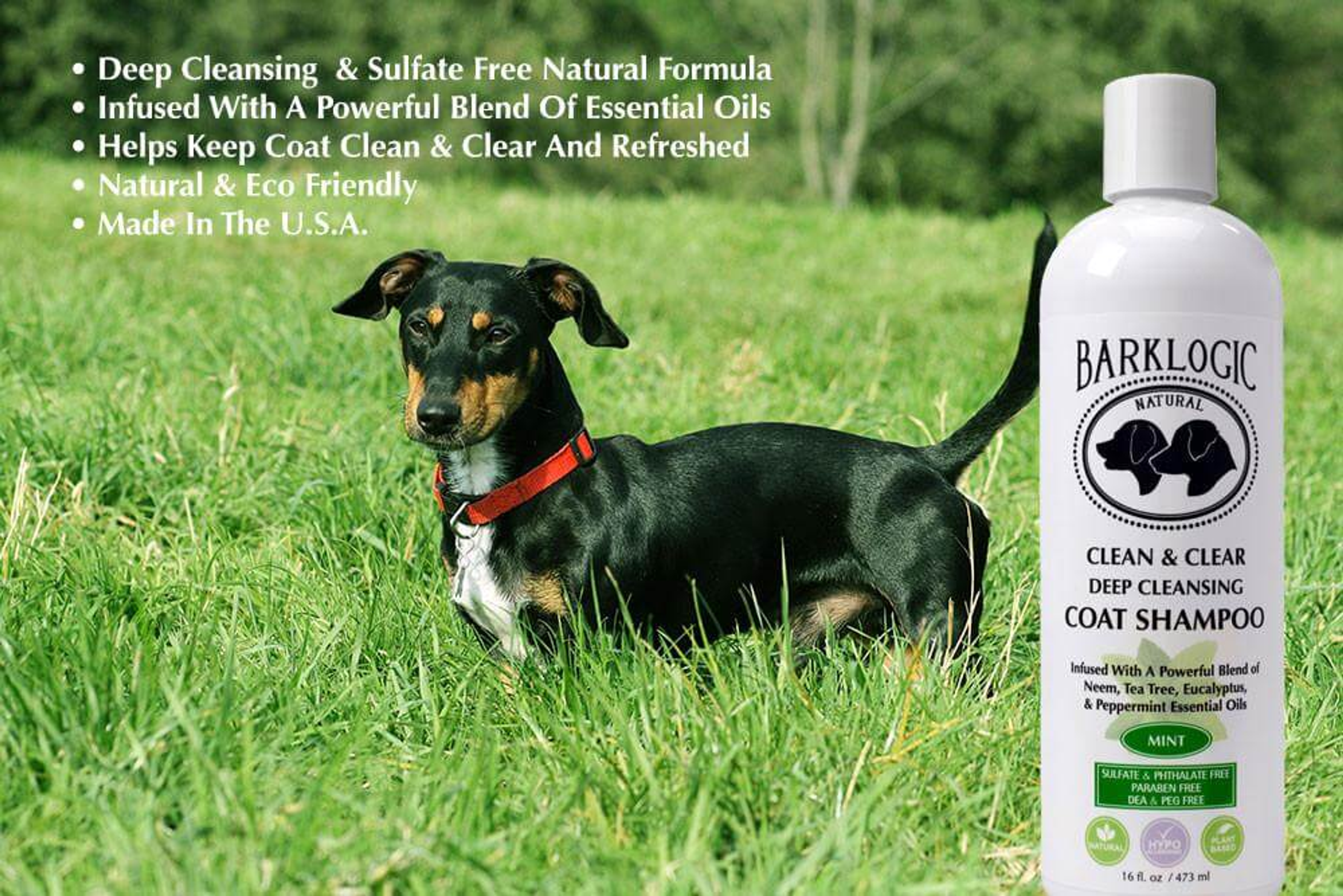 BarkLogic Clean & Clear Deep Cleansing Coat Shampoo-3