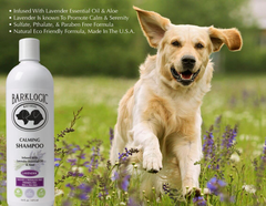 BarkLogic Calming Shampoo-3