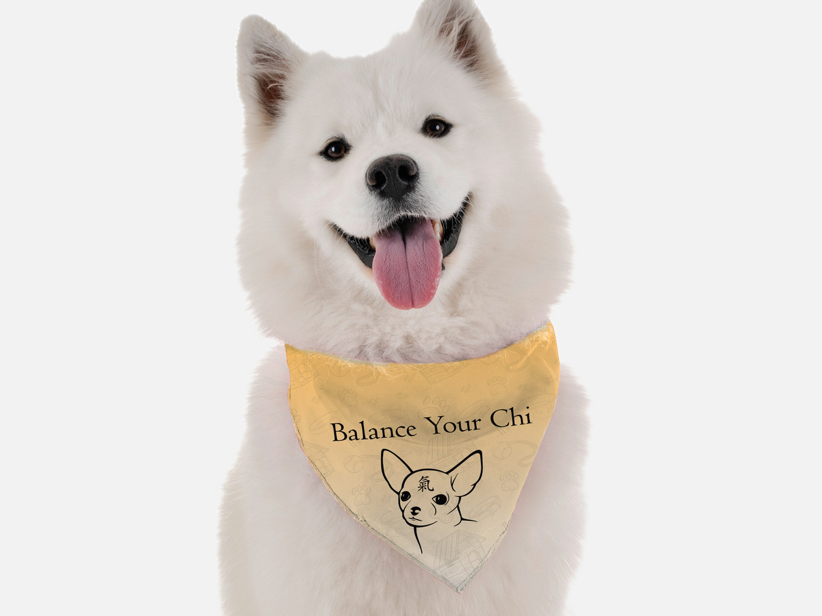 Balance Your Chi 18" x 18"