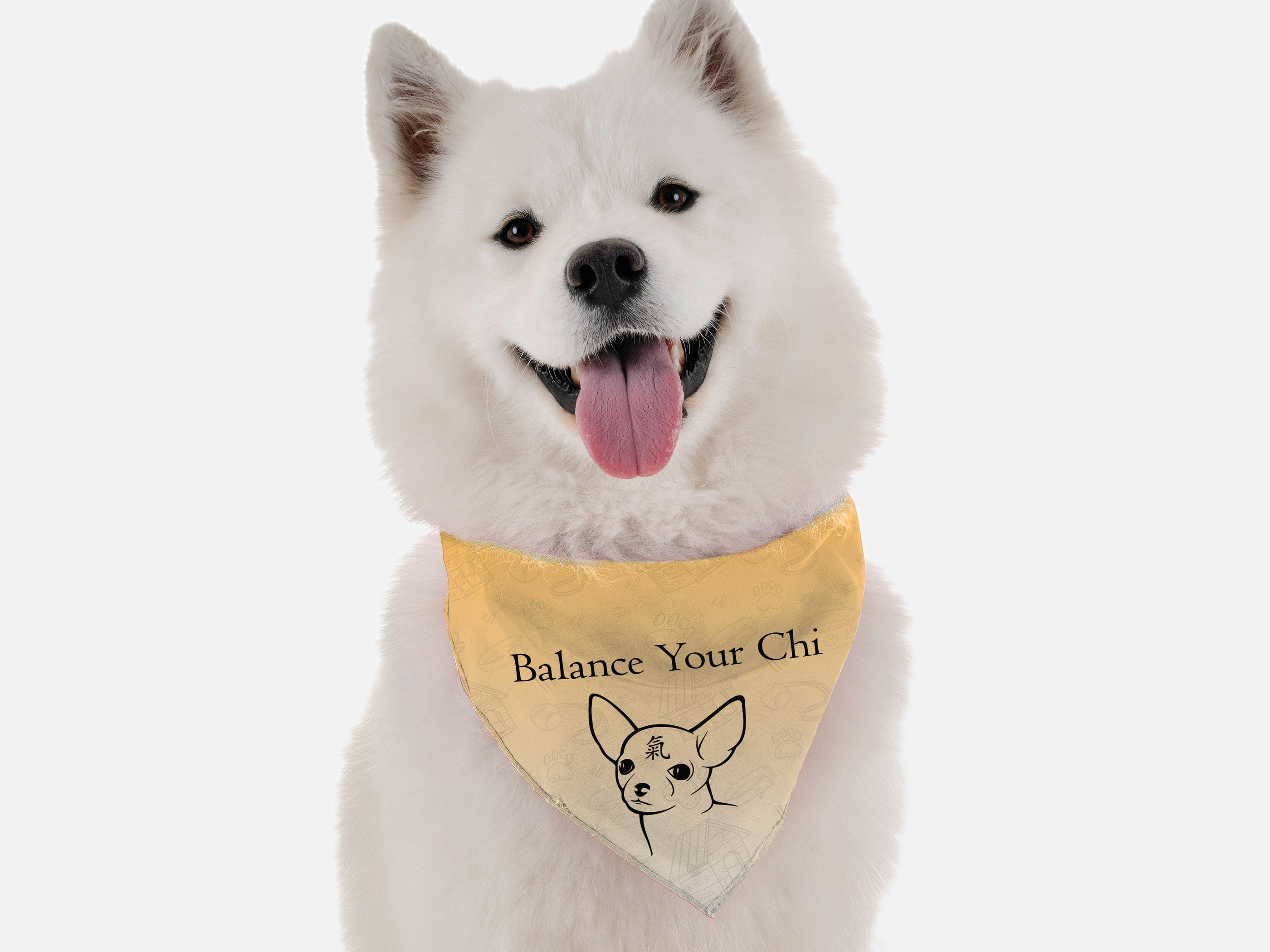 Balance Your Chi 22" x 22"
