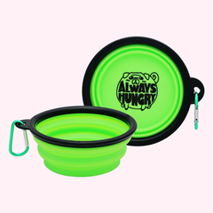 Always Hungry Green Dog Bowl
