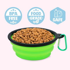 Always Hungry Green Dog Bowl-2