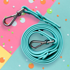 Bark Bark Bitch Aqua Leash-2
