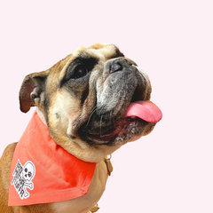 Bad Motha Fluffa Orange Collar Bandana Large