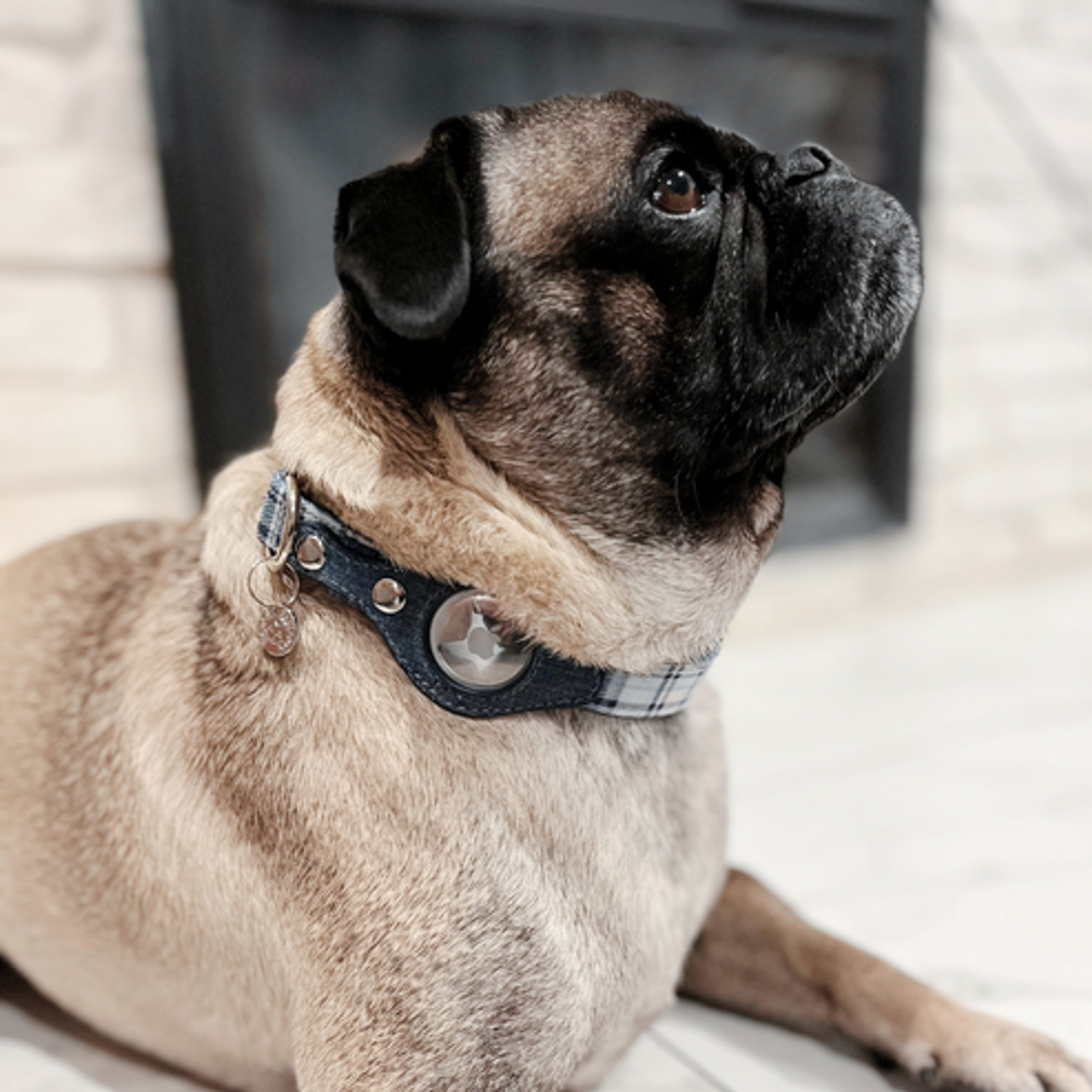 Apple Airtag Collar Small Blue Plaid & Denim-6