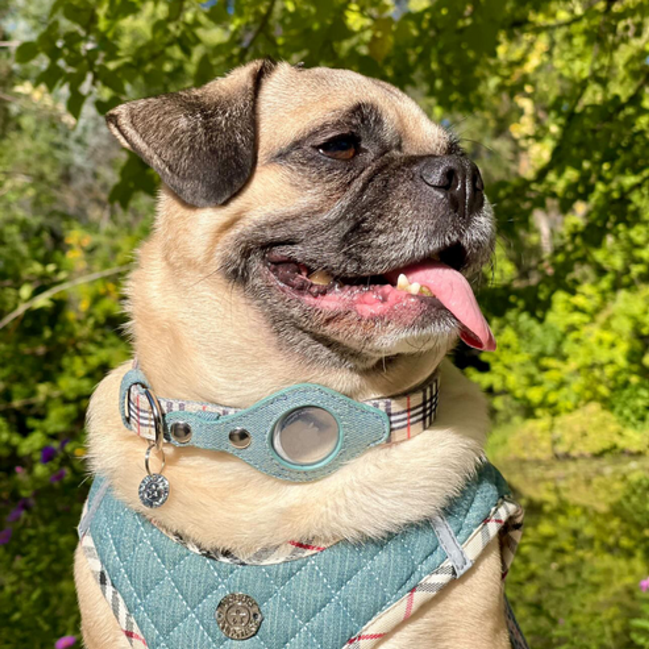 Apple Airtag Collar Large Beige Plaid & Denim-6