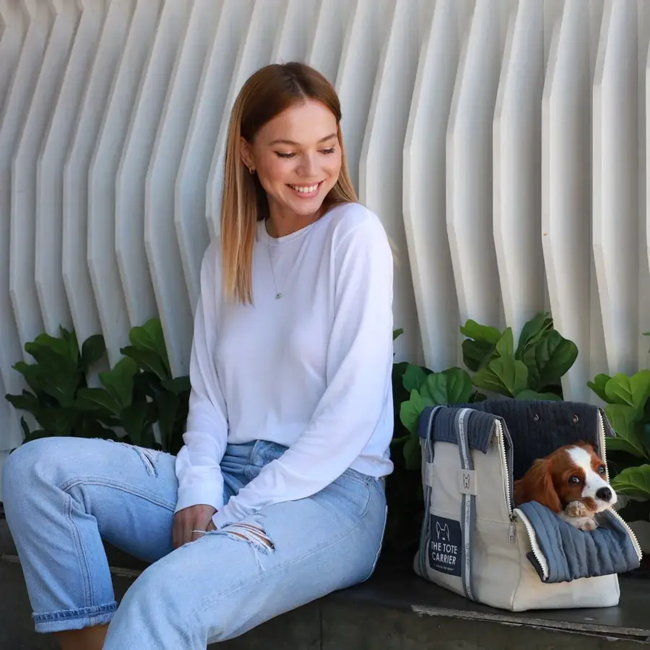 NANDOG The Tote Dog Carrier-3