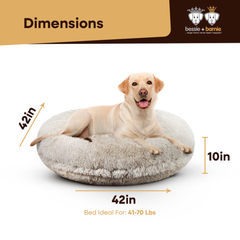 Bagel Bed LG - Blondie-3