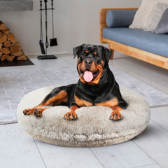 Bagel Bed XL - Blondie-2