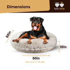 Bagel Bed XL - Blondie-3