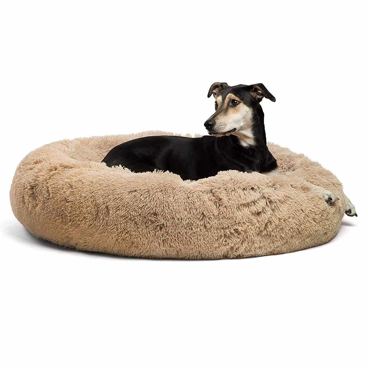 Best Friends by Sheri Donut Shag 36x36 Taupe
