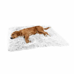 Best Friends by Sheri Blanket Shag 30x40 Frost