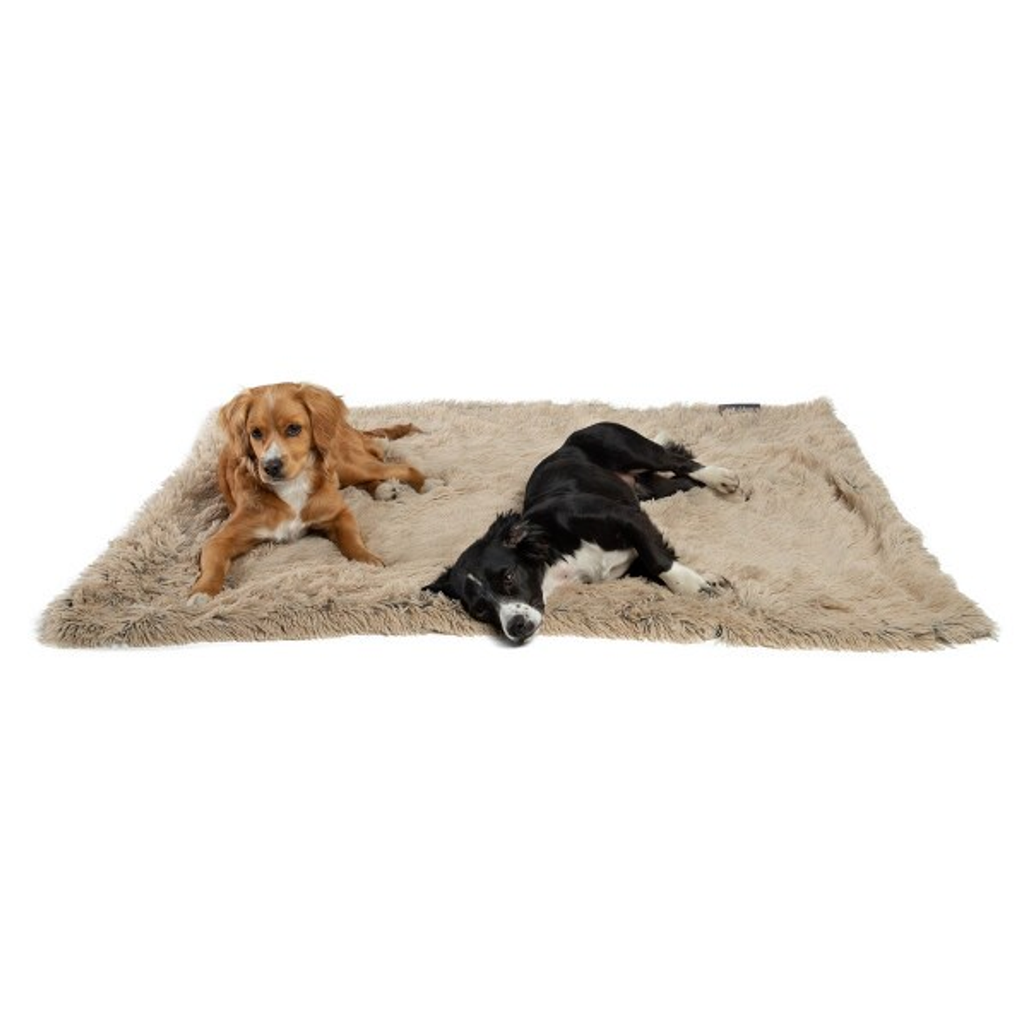Best Friends by Sheri Blanket Shag 30x40 Taupe