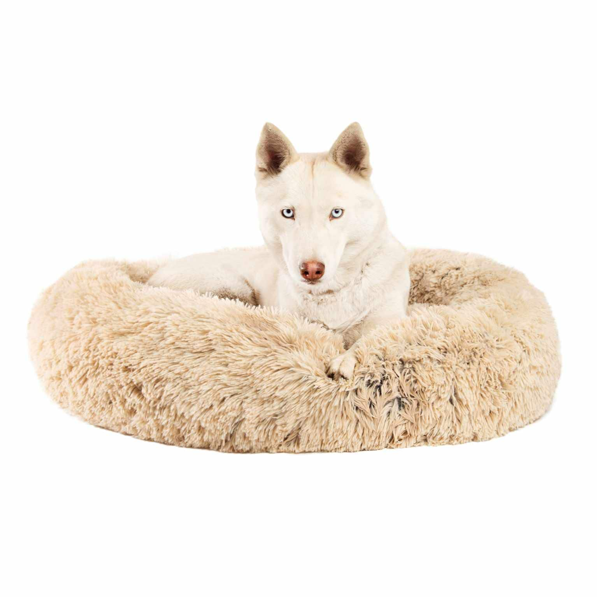 Best Friends by Sheri Donut Shag 30x30 Taupe