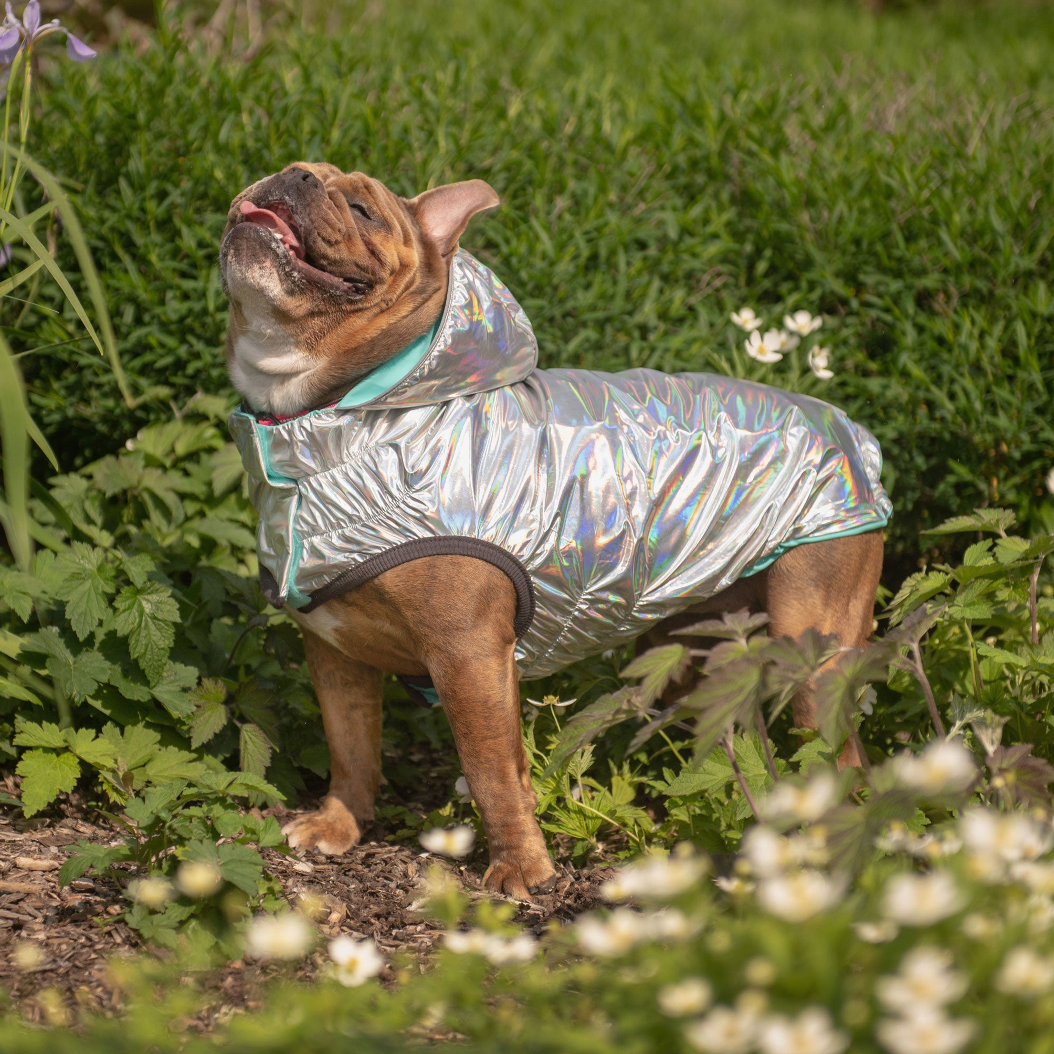 GF Pet Reversible Raincoat 3XL Neon Aqua-7