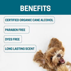 All-Natural Dog Cologne 8 oz Blue-4
