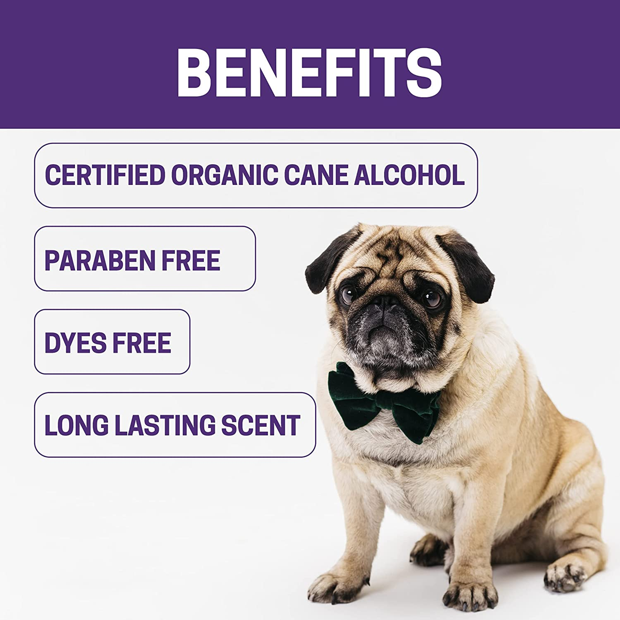 All-Natural Dog Cologne 8 oz Purple-4