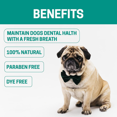 All-Natural Dog Dental Freshener 8 oz-4