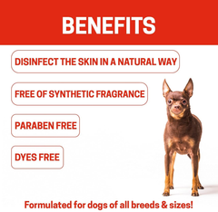 All-Natural Dog Shampoo (5 Treatment Options Available) 16 oz Red-4
