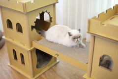 London Bridge Cat House-2