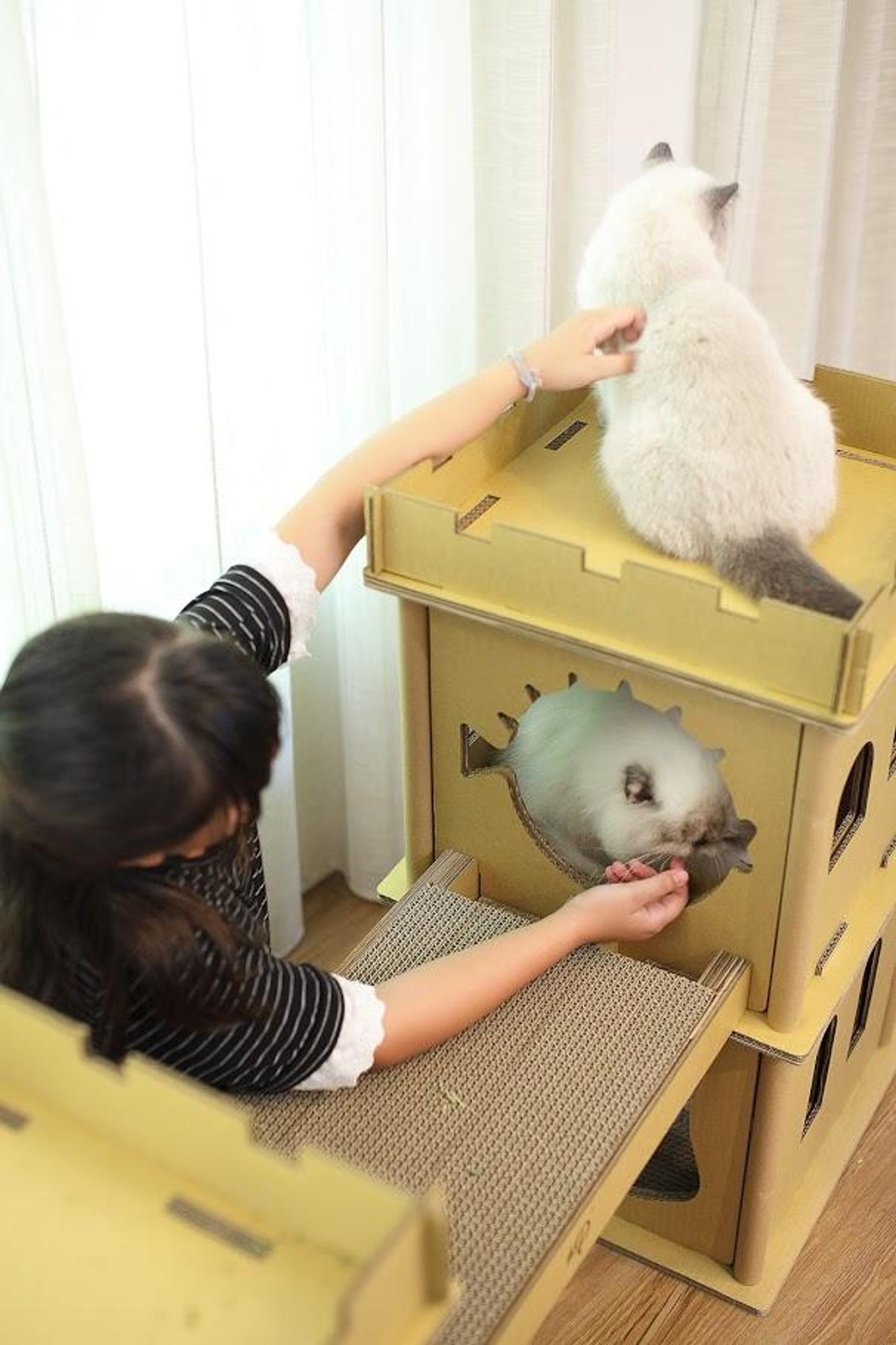 London Bridge Cat House-3