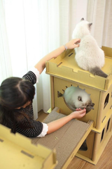 London Bridge Cat House-3
